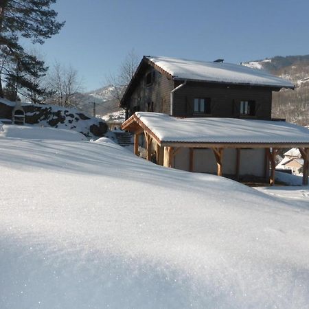 Chalet Le Grand Tetras La Bresse Bagian luar foto